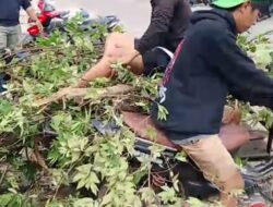 Surga Wisata Kuliner, Puluhan Pedagang Goro Sepanjang Bantaran Batang Agam Payakumbuh