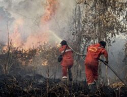 Kebakaran Lahan Kecil di Muaro Jambi: 4 Hektare Terbakar, Polisi Telusuri Unsur Kesengajaan