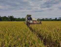 Pemerintah Luncurkan “Gerakan Swasembada Pangan 2025”, Petani Kecil Jadi Fokus Utama