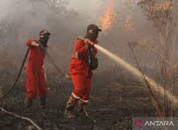 Pemprov Riau Perpanjang Status Tanggap Darurat Karhutla, Fokuskan Pencegahan dan Pemulihan Ekosistem