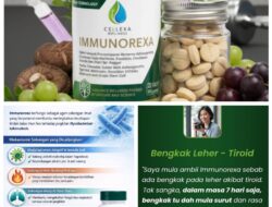 Immunorexa Produk Herbal Terbaik, Sangat Bagus Untuk Imun Tubuh, Inilah Kandungan Nya