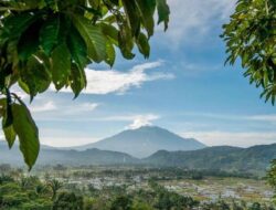 HUTAN & SISTEM ADAT NAGARI SINURUIK: PERISAI HIJAU UNTUK PASAMAN BARAT DAN DUNIA