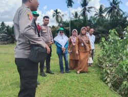 Kapolsek Cerenti Cek Lahan 6 Hektare untuk Dukung Ketahanan Pangan Nasional