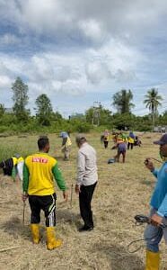 Cegah Meningkatnya Kasus DBD, Kepala DLH Rohil Kerahkan 600 Personil Kebersihan Bergotong Royong